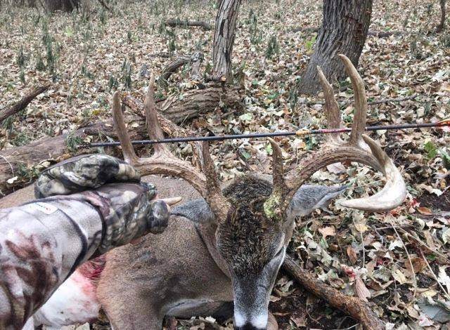 Missouri whitetail buck at Circle S Ranch