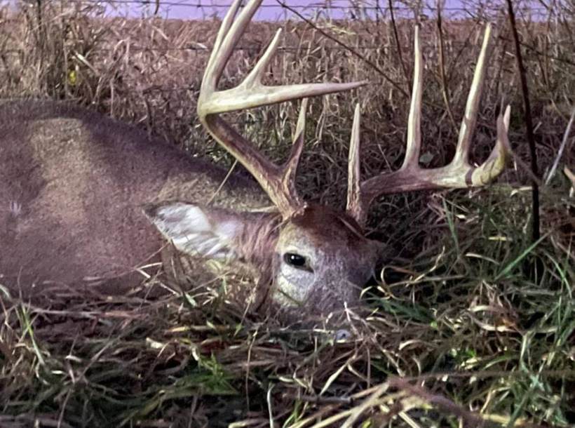 Missouri whitetail buck at Circle S Ranch