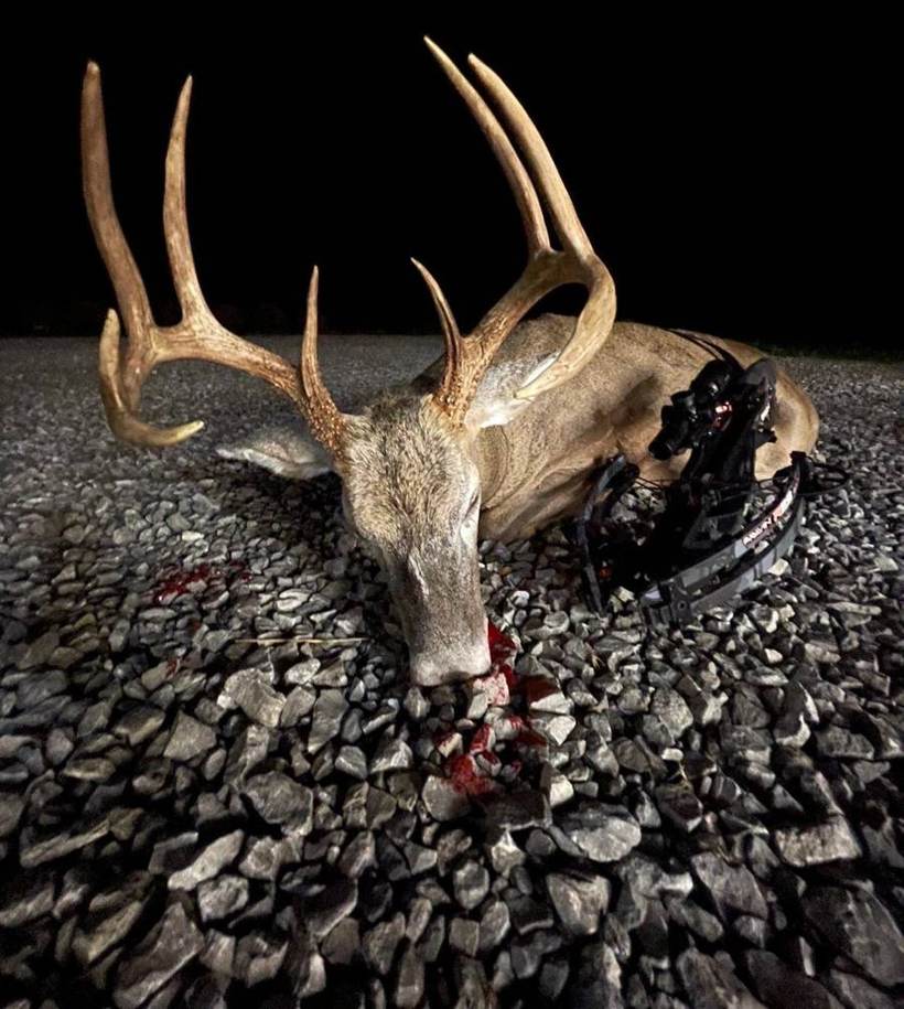 Missouri whitetail buck at Circle S Ranch